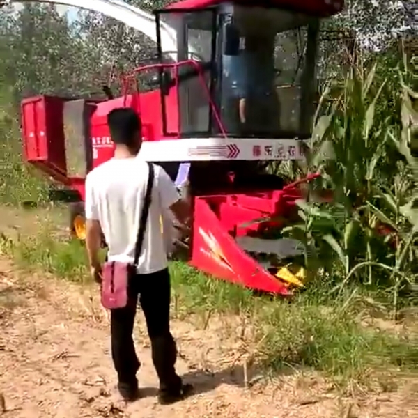 廣西玉米收獲青儲一體機